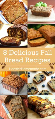 eight delicious fall bread recipes with text overlay