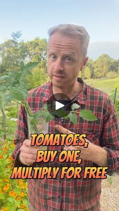 a man holding up a plant with the words tomatoes, buy one, multiply for free