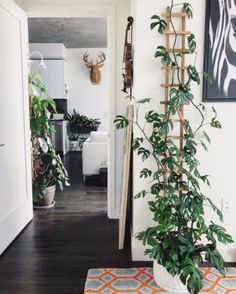 a living room filled with furniture and plants