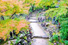 a stone path surrounded by trees and rocks