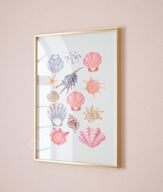 framed seashells and starfish on pink wall