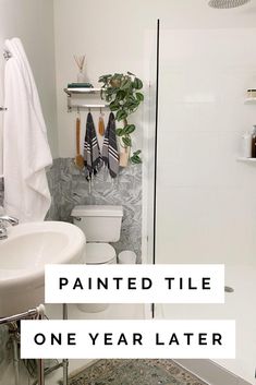 a bathroom with a white toilet sitting next to a sink