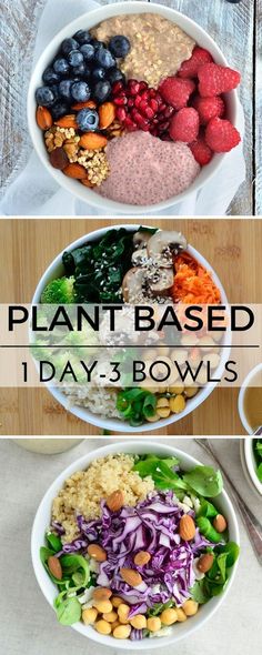 four different bowls filled with vegetables and meats, all labeled in the words plant based day - 3 bowl's