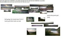 several different pictures are shown in the form of a collage with water and land