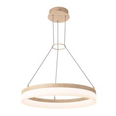 a circular light fixture with two lights hanging from it's center, and an oval wooden