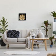 a living room filled with furniture and potted plants