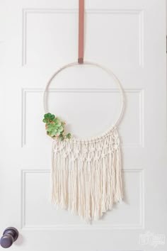 a macrame hanging on a door with succulents in the middle