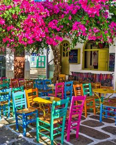 colorful tables and chairs are lined up in front of a building with pink flowers on the tree