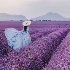 a woman in a blue dress and hat walks through a lavender field