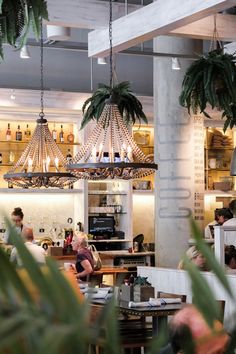 people sitting at tables in a restaurant with palm trees hanging from the ceiling above them