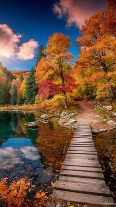 a wooden dock sitting next to a body of water surrounded by trees in the fall