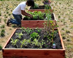 a man kneeling down in front of a garden box filled with different types of plants