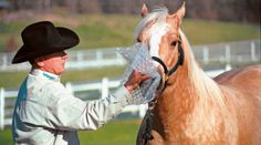 a man in a cowboy hat is petting a horse with a plastic wrap around it's face