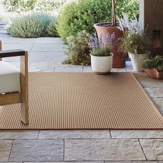 an outdoor area with potted plants on the ground and a chair next to it