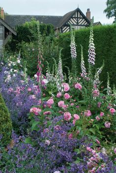 pink and white flowers in the middle of a garden