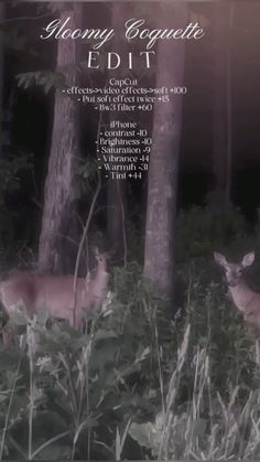 an image of a deer in the woods with text above it that reads, happy executive edit