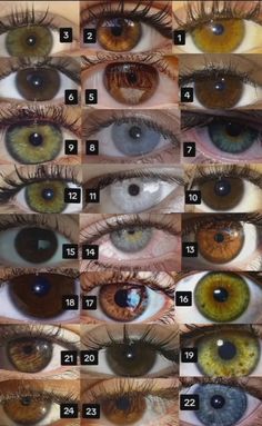 Eye Color Chart Genetics, M Letter Images, Dark Green Eyes, Girly Christmas Gifts, Eye Facts