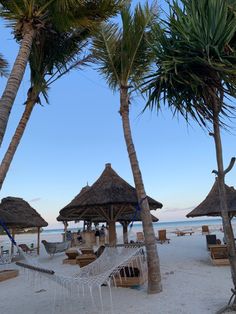 hammocks and chairs on the beach with palm trees in the foreground at dusk