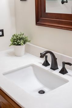 a bathroom sink with two faucets and a potted plant on the counter