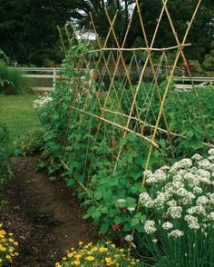 a garden with many plants and flowers growing in the ground, including trelliss