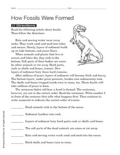 an animal worksheet with the words how fosss were formed