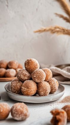 powdered sugar coated doughnuts on a plate with wheat stalks in the background