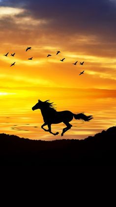 the silhouette of a horse is shown as birds fly in the sky above it at sunset