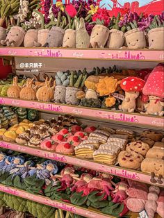 there are many stuffed animals on the shelves in this store, all different colors and sizes