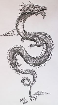 an image of a dragon drawn on paper