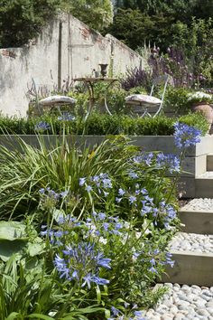 the garden is full of blue flowers and white rocks, along with stone steps that lead up to an outdoor dining area