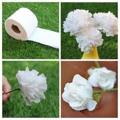 four pictures of flowers and toilet paper on the grass