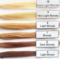 Bleach Levels Hair Color, Hair Levels 1-10 Chart Bleach, Hair Lift Levels, Level 8 Blonde Hair, Undertone Hair, Level 8 Blonde, Blonde Hair Levels, Level 9 Blonde, Levels Of Hair Color