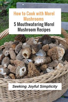 a basket full of mushrooms sitting on top of a wooden bench with text overlay reading how to cook with more mushrooms 5 mouthwatering model mushroom recipes