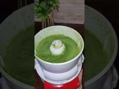 a person holding a blender filled with green liquid