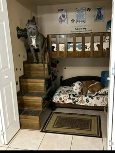 a dog laying on top of a bed in a room with bunk beds and stairs