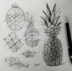 a drawing of pineapples and other objects on a sheet of paper with a pen