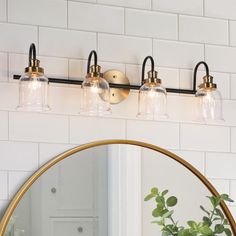 a bathroom vanity with three lights and a mirror on the wall next to a potted plant