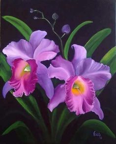 a painting of two purple flowers on a black background