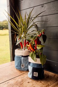 two planters sitting on top of a wooden table next to each other with peppers growing out of them