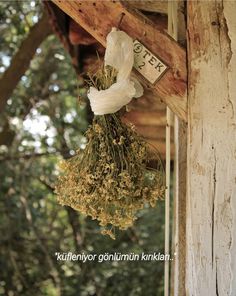 dried herbs hanging from the side of an old wooden structure with words written on it