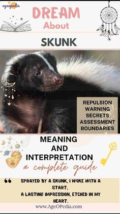 an advertisement for skunkk's animal identification and information guide on skunkk