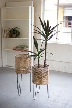 Round Seagrass Planters With Iron Bases Set of 2 by Kalalou | Modishstore | Planters, Troughs & Cachepots Boho Planters, Modern Planters, Ashley Furniture Homestore, Decorative Planters, Plant Shelves, Planter Pots Indoor, Wall Bar, Wood Rounds, Recycled Wood