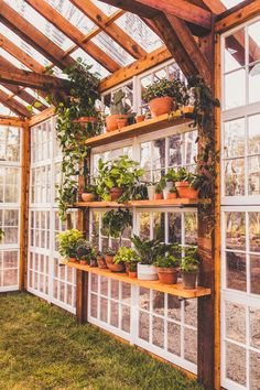 an indoor greenhouse with lots of plants growing on the shelves