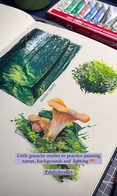 an open book with pictures of mushrooms and trees on it next to crayon markers