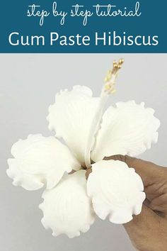 a hand holding a white flower with the words gum paste hibiscus on it