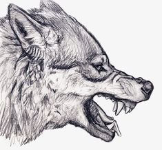 a drawing of a wolf with its mouth open