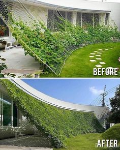 before and after photos of a house with vines growing on the outside, then in the inside