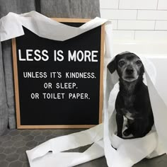 a black and white dog sitting on top of a toilet paper bag next to a sign that says less is more unless it's kindness or sleep