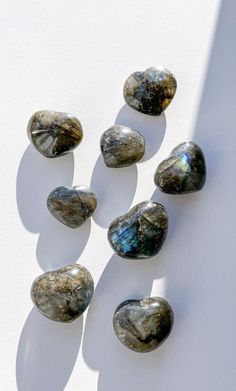 five rocks are arranged in the shape of hearts on a white surface with shadows from them