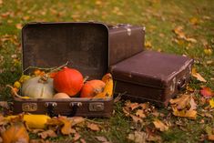 an old suitcase and some vegetables on the ground